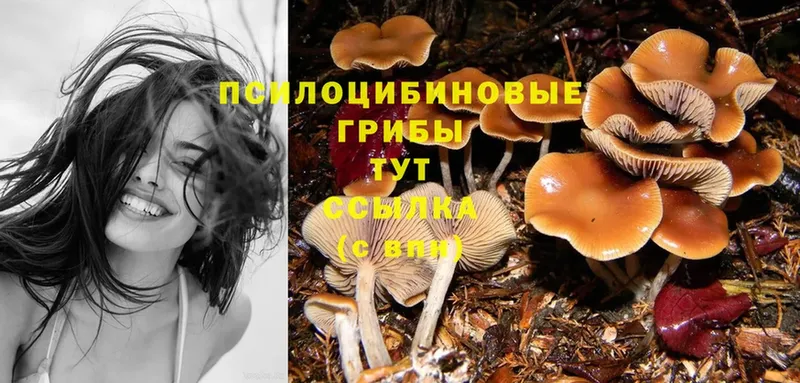 Галлюциногенные грибы MAGIC MUSHROOMS  Красноармейск 